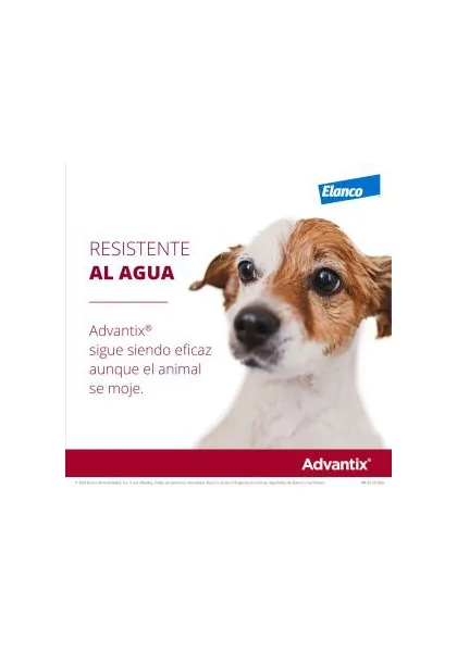 Caja de 4 Pipetas  Advantix para Perro de +25kg