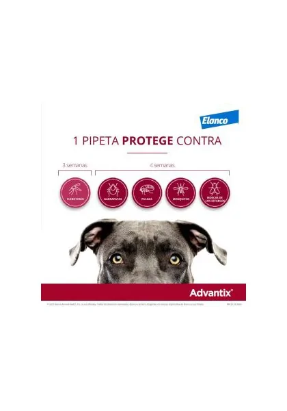 Caja de 4 Pipetas  Advantix para Perro de +25kg