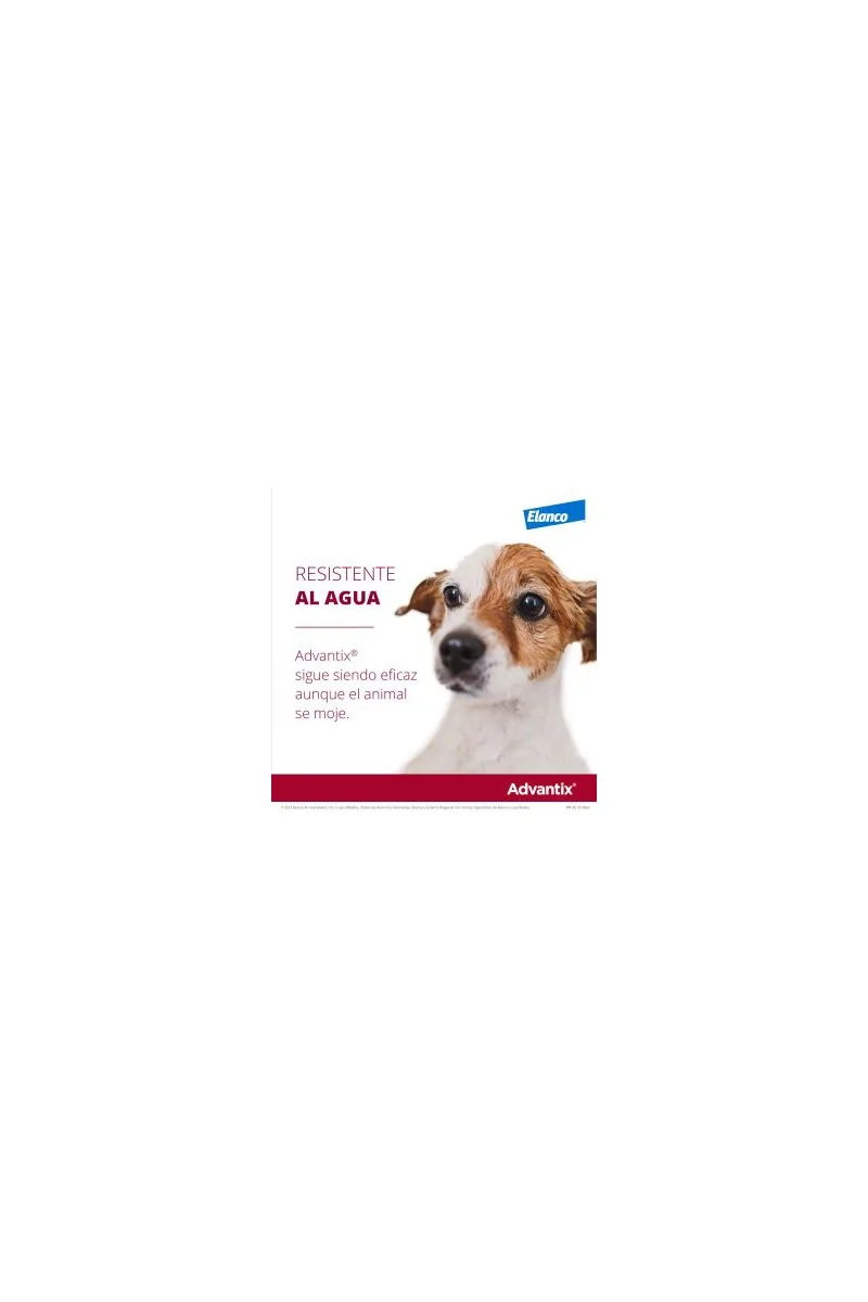 Caja de Pipetas 4UDS Advantix para Perro de 4 a 10 KG