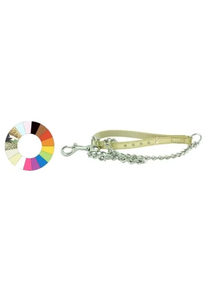 Collares Perro  Correa Cadena Mediana Fant ORO L1000 D3