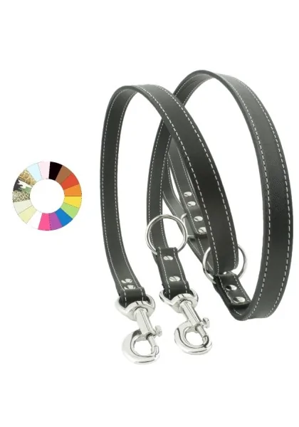 Collares Perro  Correa Adiestramiento AM L2130 A18