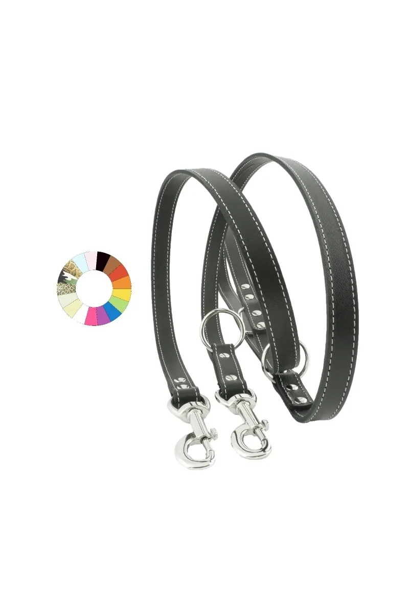 Collares Perro  Correa Adiestramiento AM L2130 A18