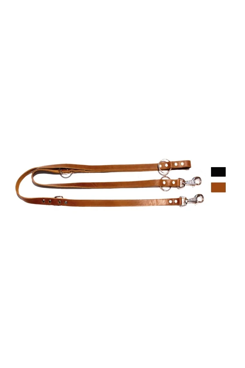 Collares Perro  Correa Adiestramiento Leather RJ L2130 A18