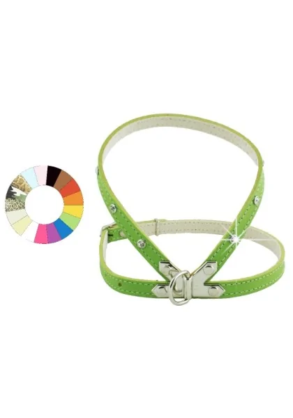 Collares Perro  Petral Fant LEOP C300 A12 P450