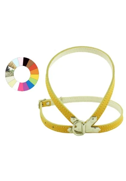 Collares Perro  Petral ORO C250 A12 P400