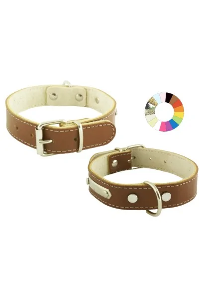 Collares Perro  Collar Mountain Fluor VER 30-36 L400 A25