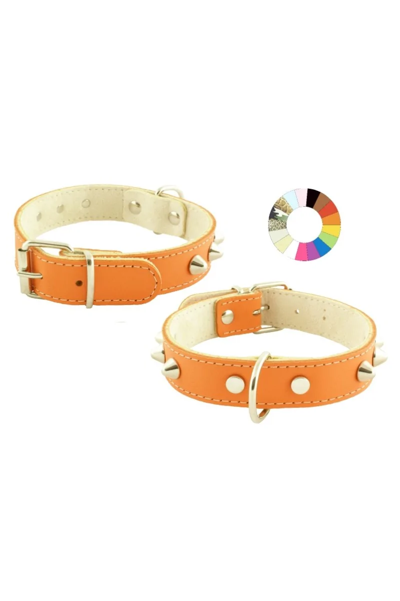 Collares Perro  Collar Mountain Co1F Fluor NJ 30-36 L400 A25