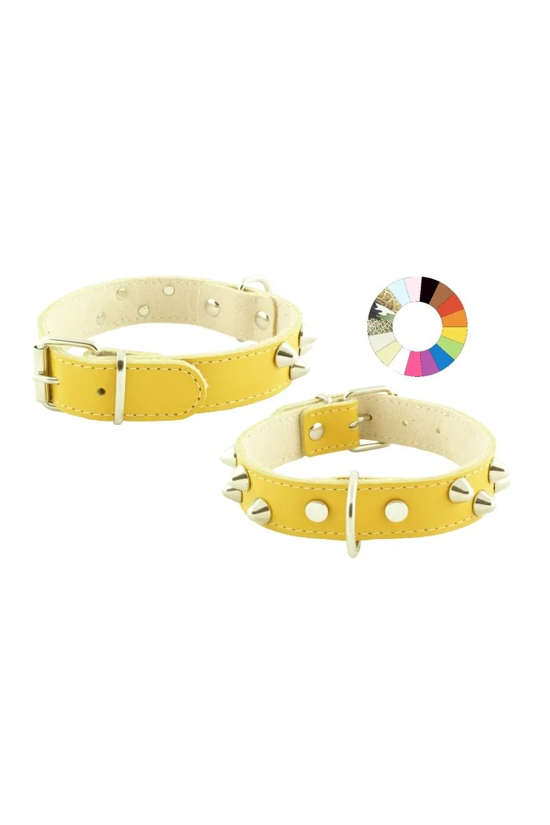 Collares Perro  Collar Mountain Co2F Fluor VER 35-41 L450 A25