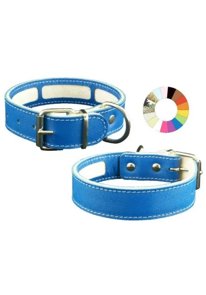 Collares Perro  Collar Carrier MIMT 27-35 L350 A30