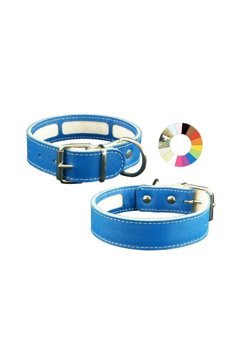 Collares Perro  Collar Carrier MIMT 27-35 L350 A30