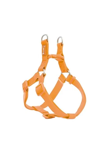 Arneses Perro  Arnés Nylon Basic Tipo A Naranja 0,8 x 15/30cm