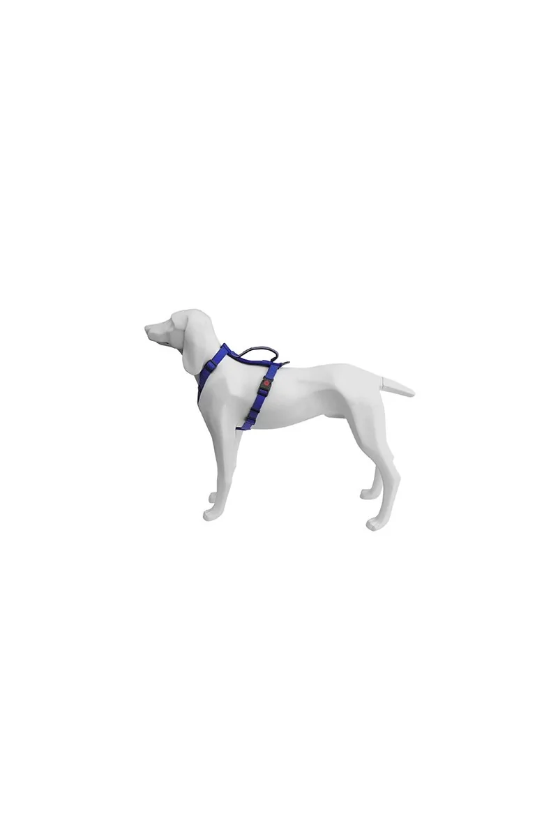 Arneses Perro  Arnes Extreme Azul 15mmx40/56cm