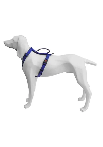 Arneses Perro  Arnes Extreme Azul 20mmx51/74cm