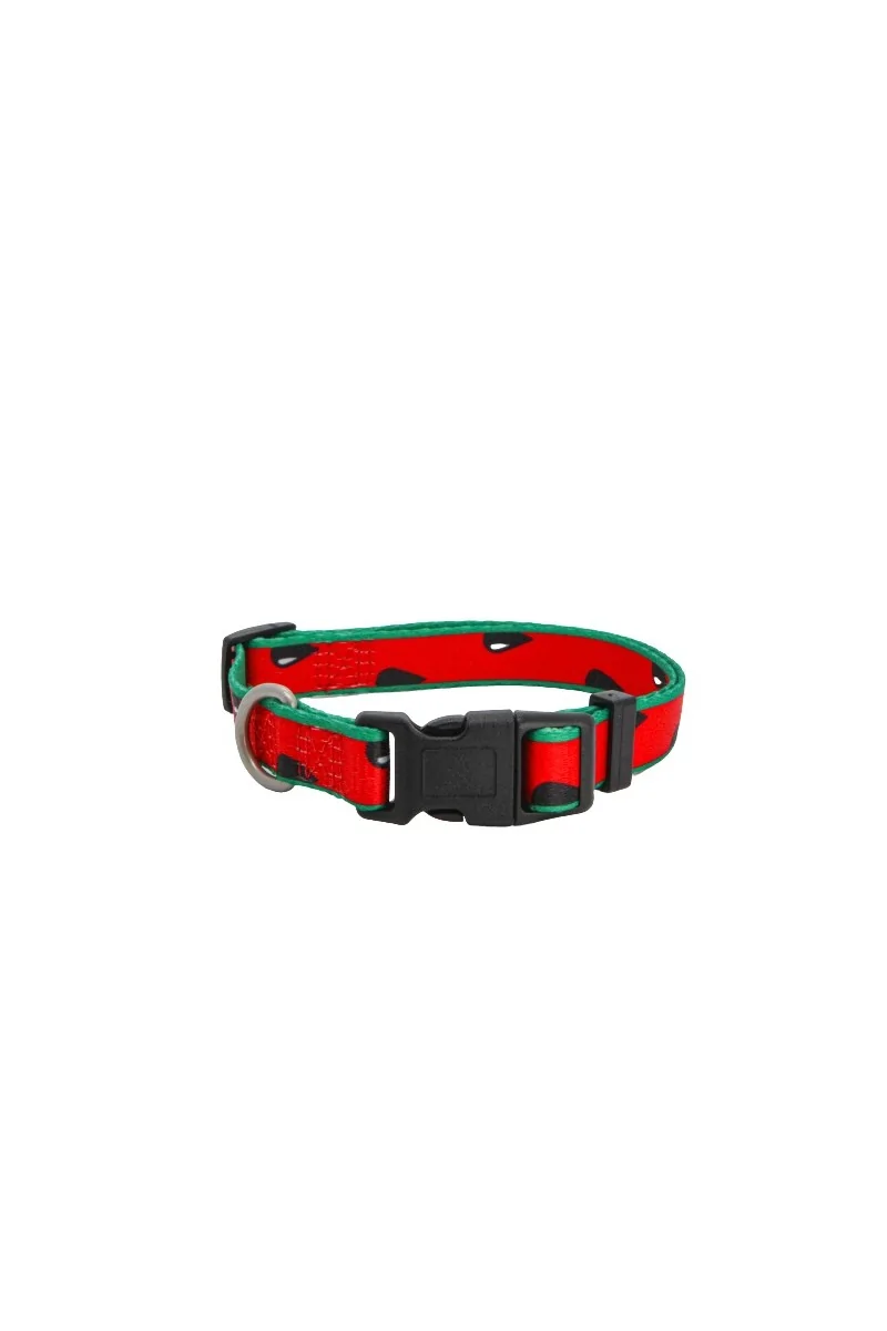 Collares Perro  Collar Watermelon S 15mm x 35/50cm *DX*