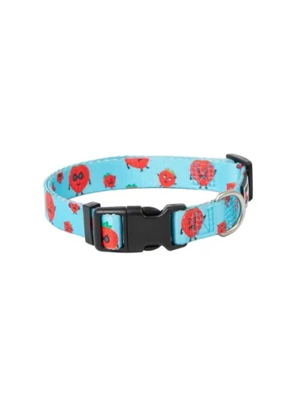 Collares Perro  Collar Strawberry S 15mm x 20/50cm *DX*