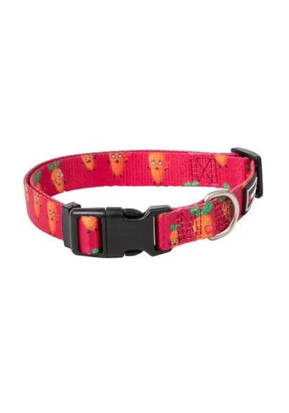 Collares Perro  Collar Carrot S 15mm x 20/50cm *DX*