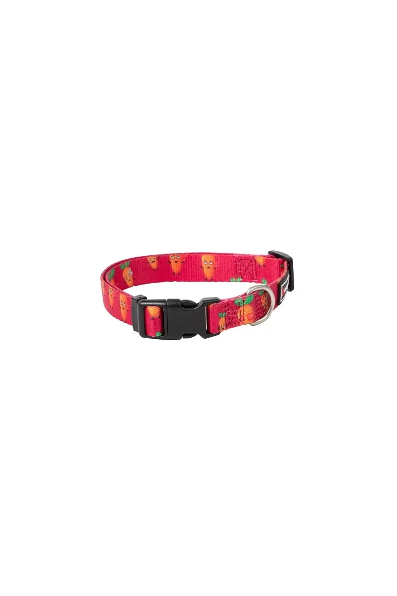 Collares Perro  Collar Carrot S 15mm x 20/50cm *DX*