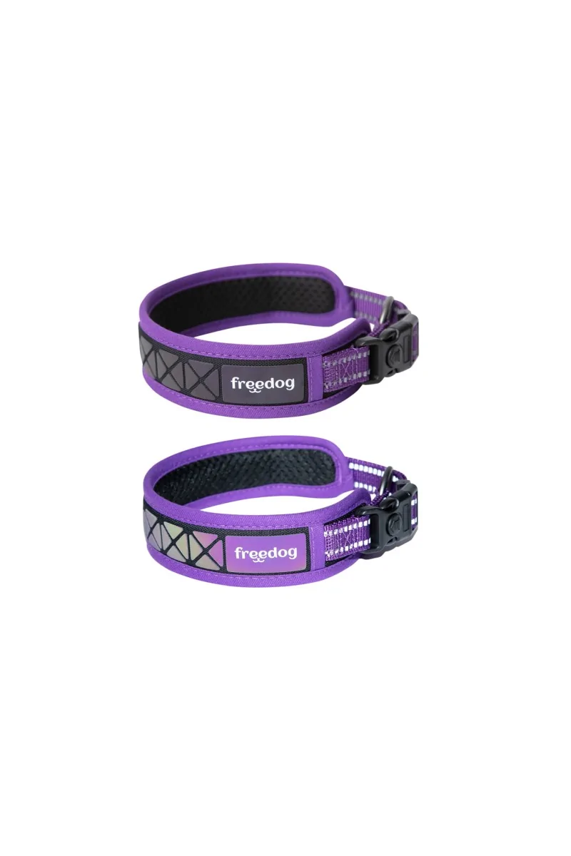 Collares Perro  Collar Boreal Lila 1,5 x 30-42cm