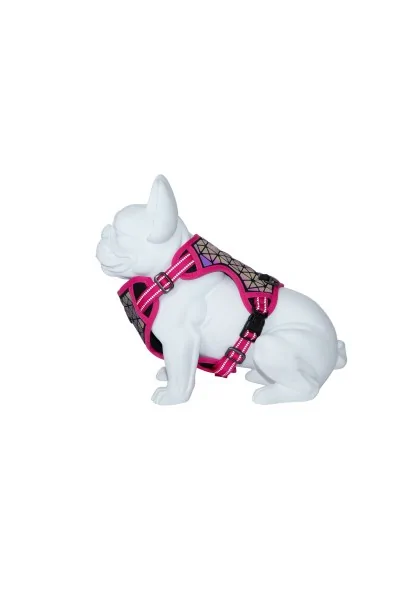 Arneses Perro  Arnés Boreal Fucsia 1,5 Cuello 32-48cm Pecho 34-63cm