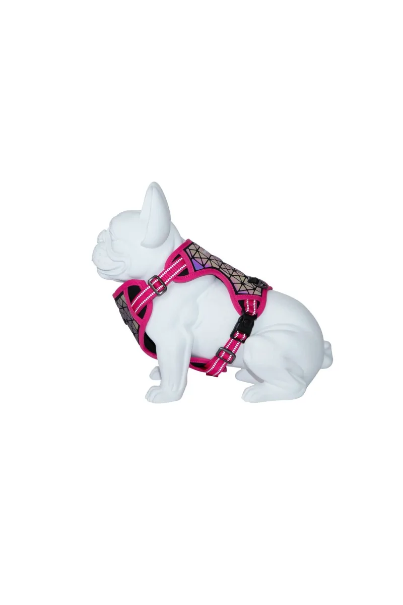 Arneses Perro  Arnés Boreal Fucsia 1,5 Cuello 32-48cm Pecho 34-63cm