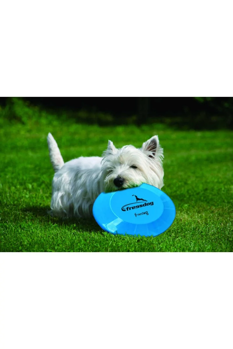 Juguetes Interactivos Gato  Freesdog 20cm