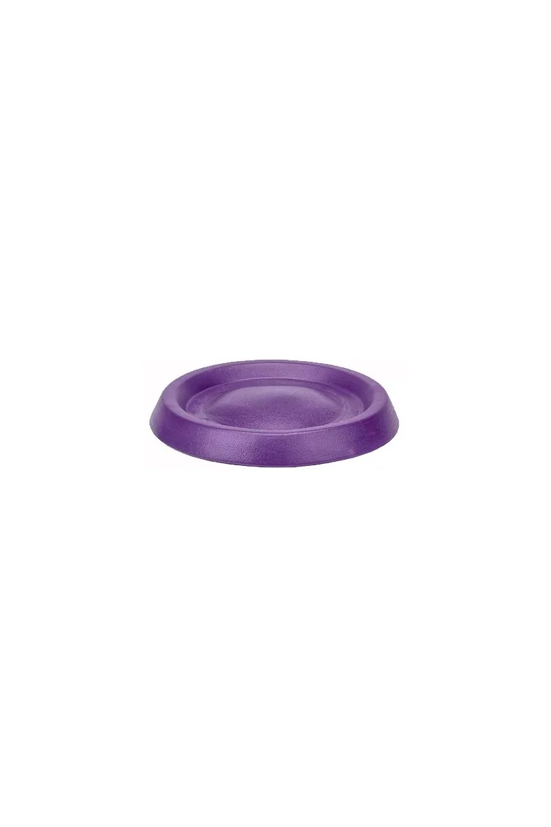 Juguetes Interactivos Perro  Frisbee Foamy Purpura 22cm