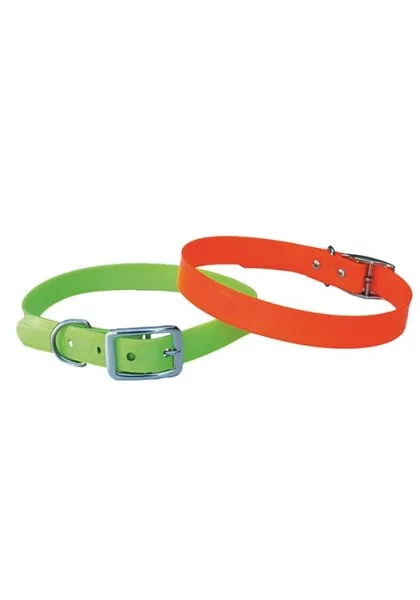 Collares Perro  Collar caza VERDE