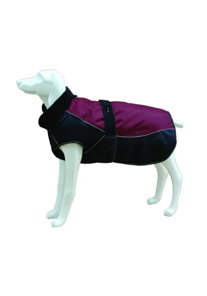 Ropas Chaquetas Perro  Chaqueta North Pole Model C GRA 20cm