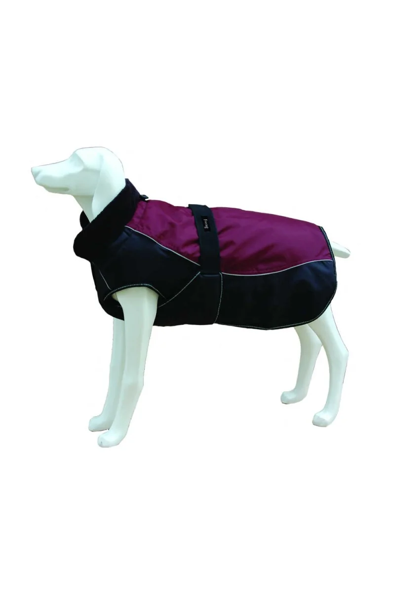 Ropas Chaquetas Perro  Chaqueta North Pole Model C GRA 20cm