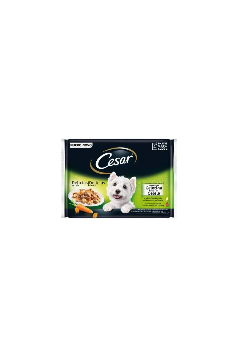 Comida Húmeda Perro Adulto Cesar Multipack Pouch Selec En Gelat 4*100