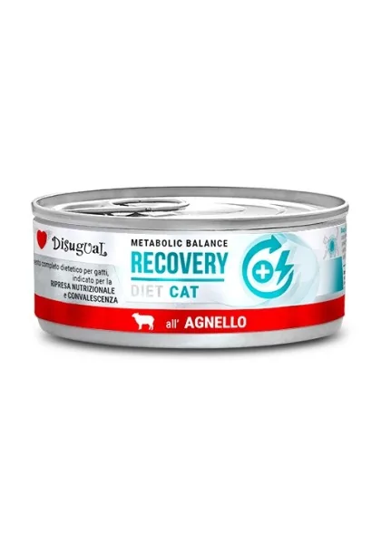 Comida Húmeda Gato Adulto Diet Cat Wet Recovery Cordero 85gr