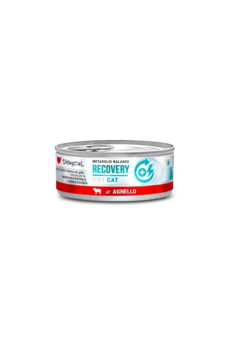 Comida Húmeda Gato Adulto Diet Cat Wet Recovery Cordero 85gr