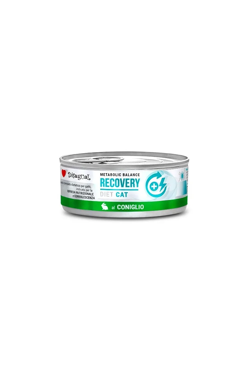 Comida Húmeda Gato Adulto Diet Cat Wet Recovery Conejo 85gr