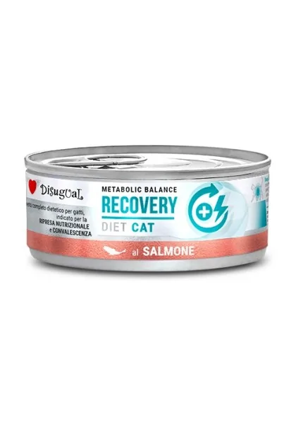 Comida Húmeda Gato Adulto Diet Cat Wet Recovery Salmón 85gr