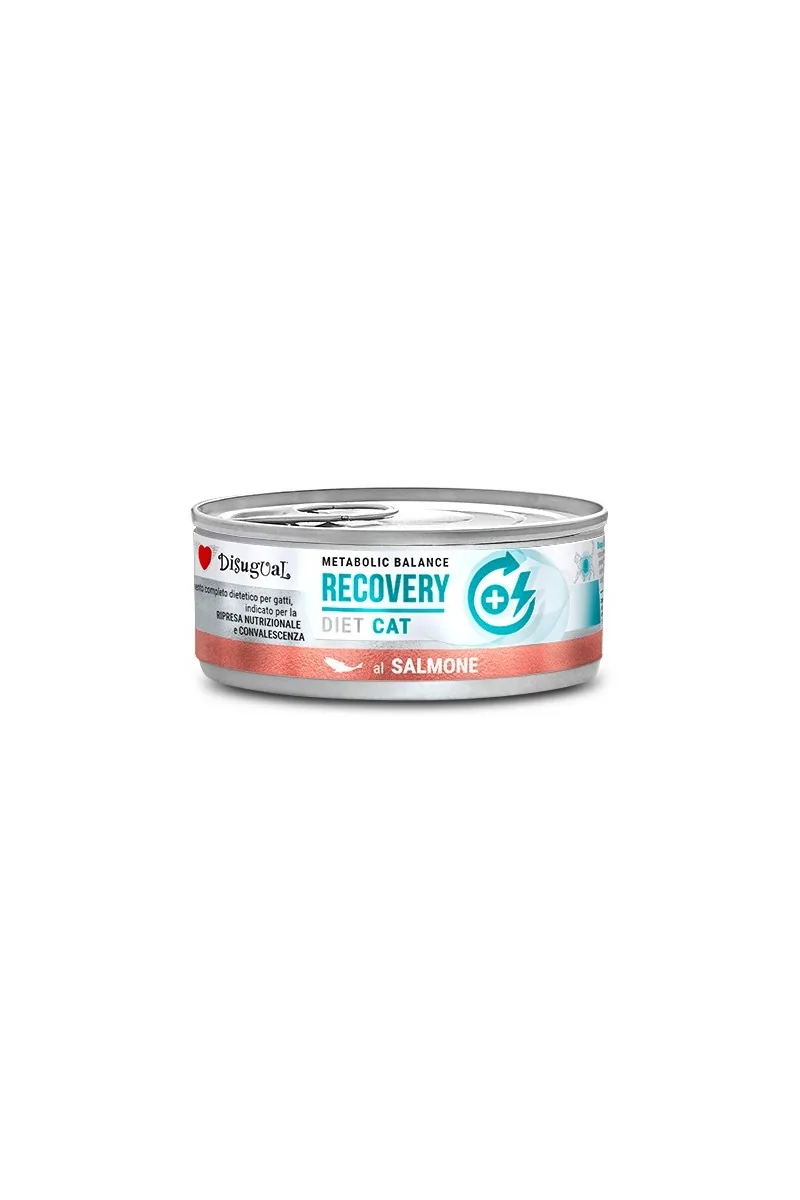 Comida Húmeda Gato Adulto Diet Cat Wet Recovery Salmón 85gr