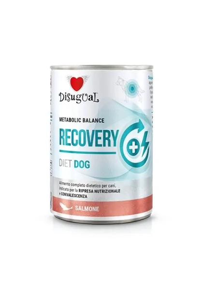 Comida Húmeda Perro Adulto Diet Dog Wet Recovery Salmón 400gr