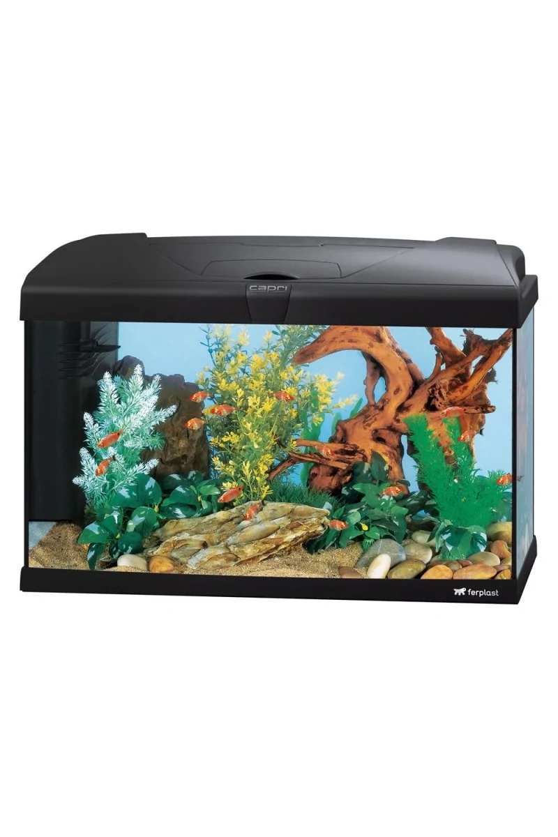 Acuarios Ferplast Acuario Capri 60 60X31,5X39,5Cm 60L