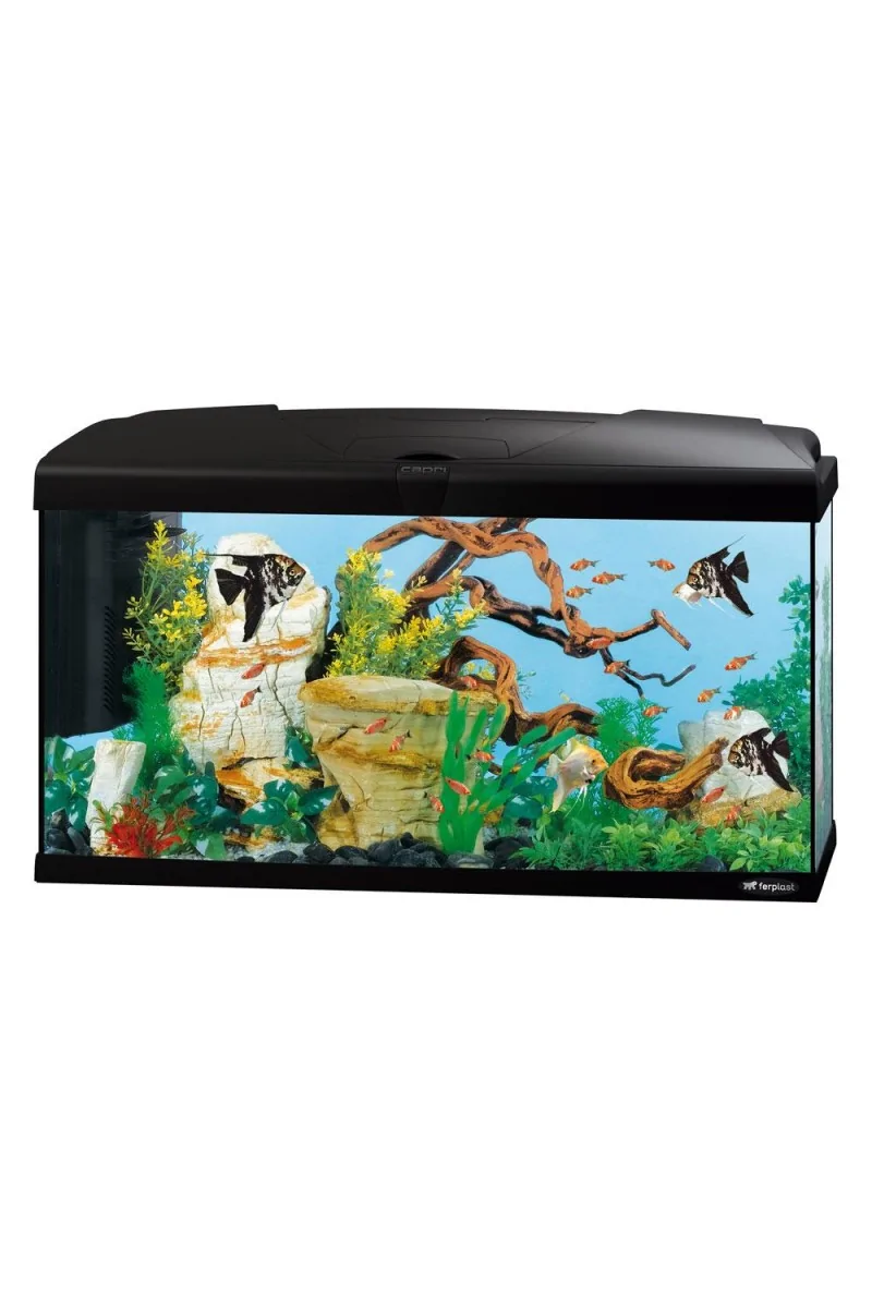 Acuarios Ferplast Acuario Capri 80 80X31,5X46,5Cm 100L