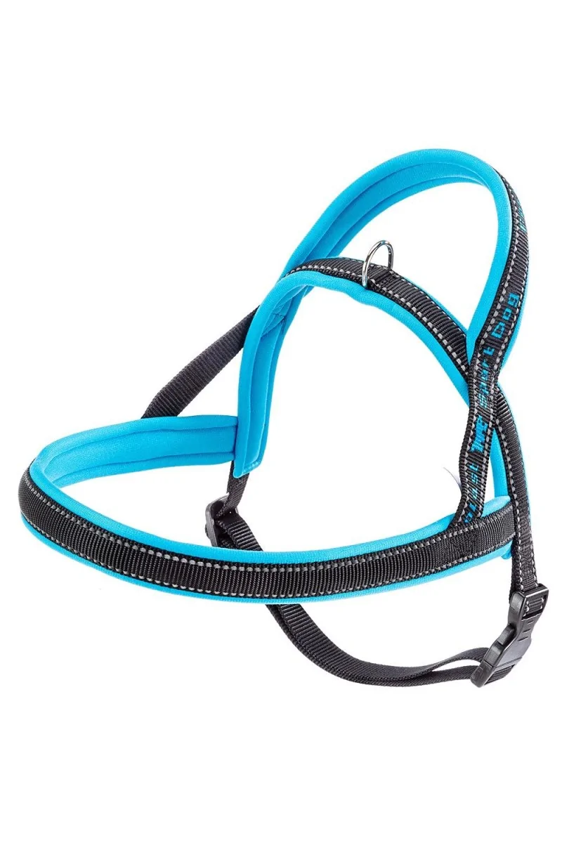 Arnés Ferplast Arnes Sport Dog P Medium  Blue