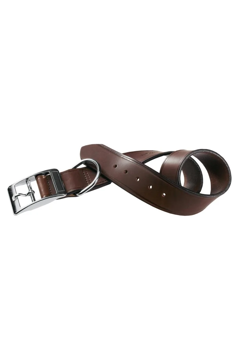 Collares Ferplast Collar Cuero Perro Toro Vip C40 69