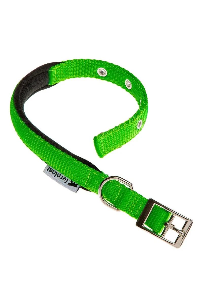 Collares Ferplast Collar Daytona C15 35  Green