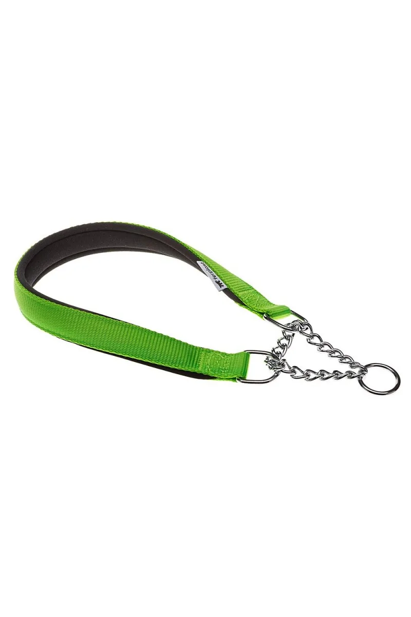 Collares Ferplast Collar Daytona Css15 40  Green