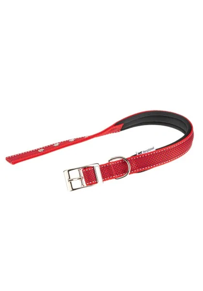 Collares Ferplast Collar Daytona Deluxe C25/53 Rojo Co