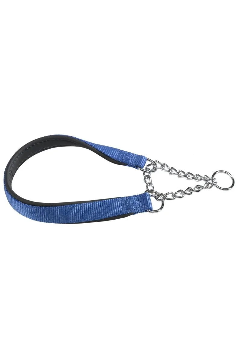 Collares Ferplast Collar Nylo Daytona Css15 40 Azul