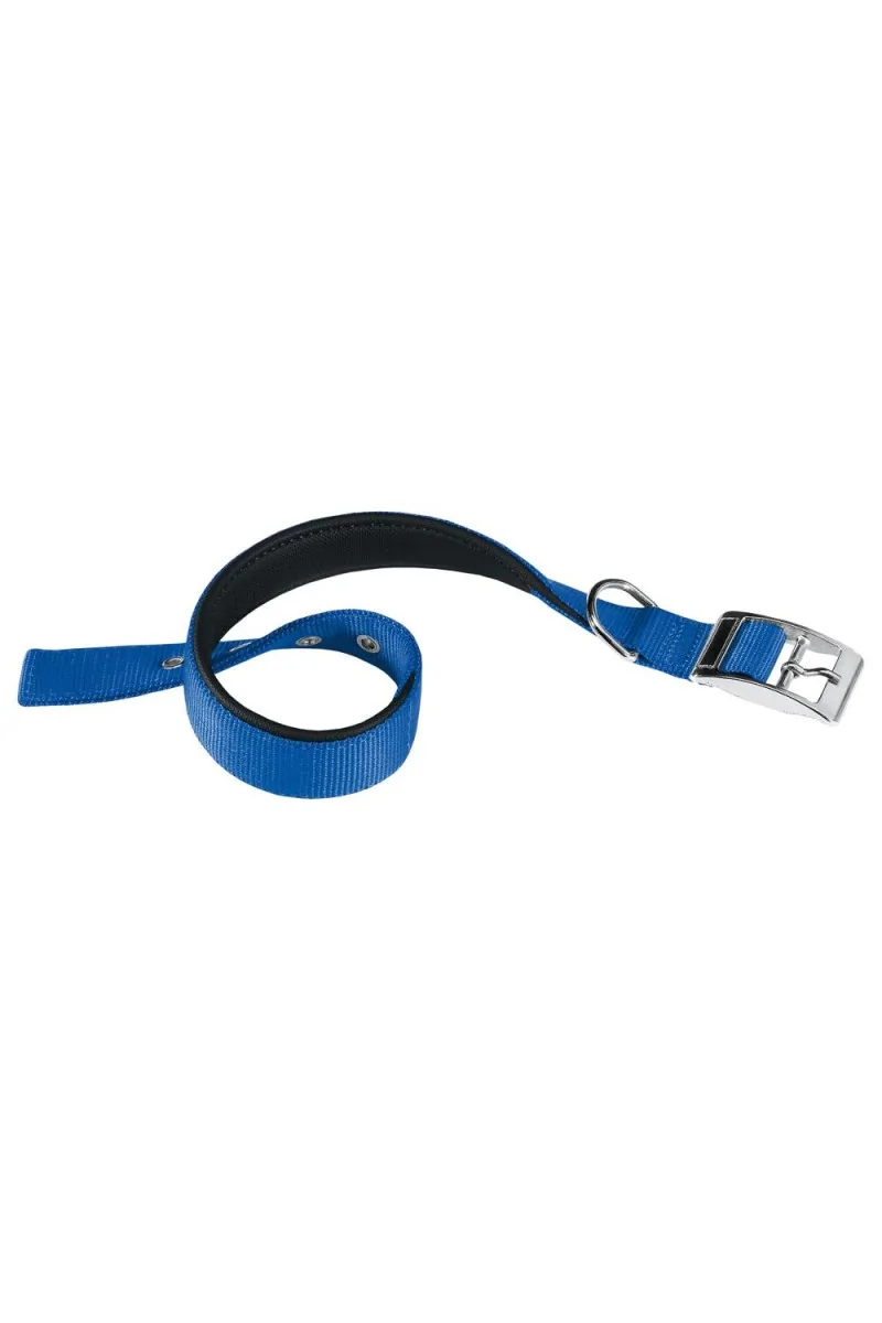 Collares Ferplast Collar Nylon Daytona C 15 35 Azul