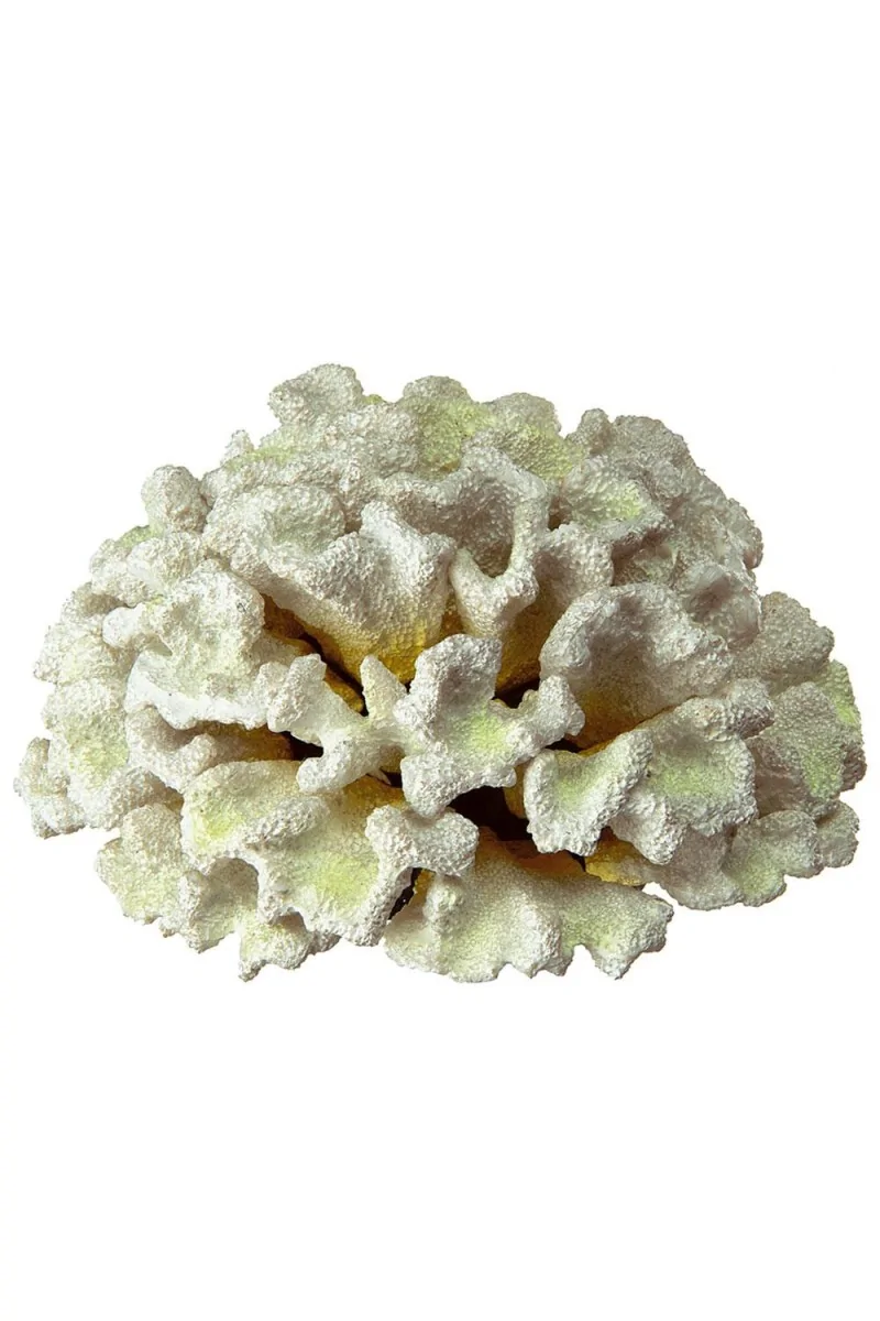 Acuarios Ferplast Coral Blanco Para Acuario Blue 9131 19,5X19,5X8,5Cm