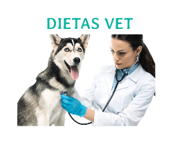 dietas veterinarias perros y gatos